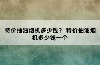 特价抽油烟机多少钱？ 特价抽油烟机多少钱一个